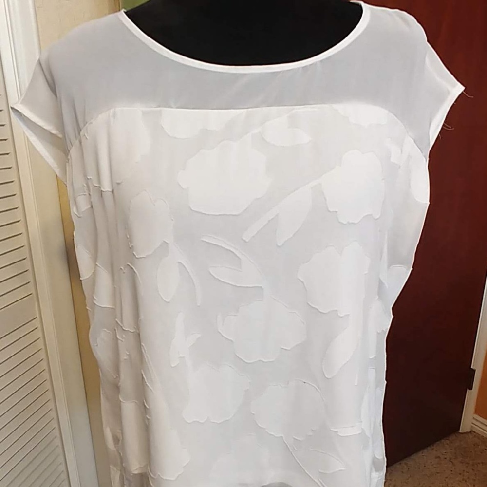 ANN TAYLOR Gorgeous Work Blouse